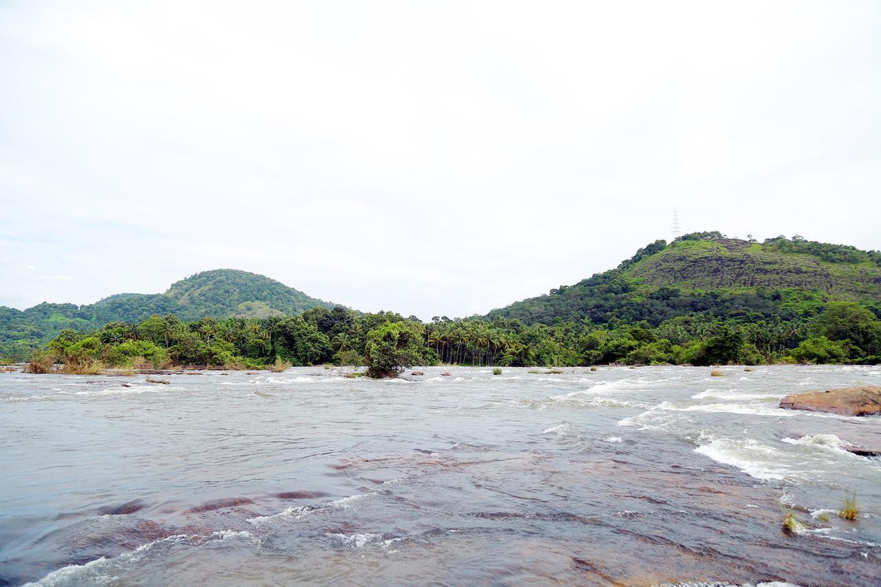 Athirapilly River Resort Athirappilly Dış mekan fotoğraf